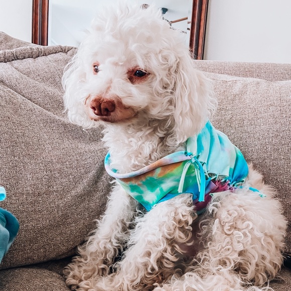 MY NEW ACCOUNT - Picture 2 of 8